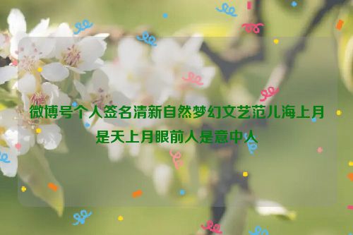 微博号个人签名清新自然梦幻文艺范儿海上月是天上月眼前人是意中人