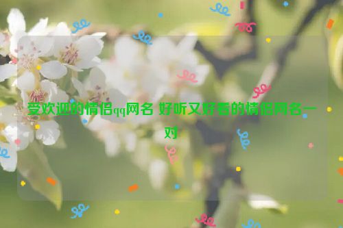 受欢迎的情侣qq网名 好听又好看的情侣网名一对