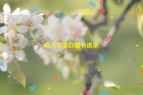 情人节表白情书语录