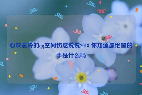 心灰意冷的qq空间伤感说说2018 你知道最绝望的事是什么吗