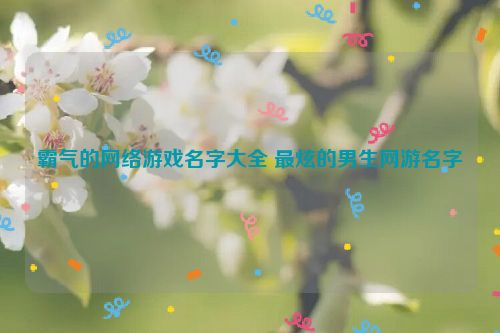 霸气的网络游戏名字大全 最炫的男生网游名字