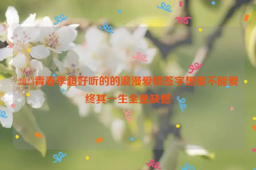 2023青春季超好听的的浪漫爱情签字想爱不能爱终其一生全是缺憾