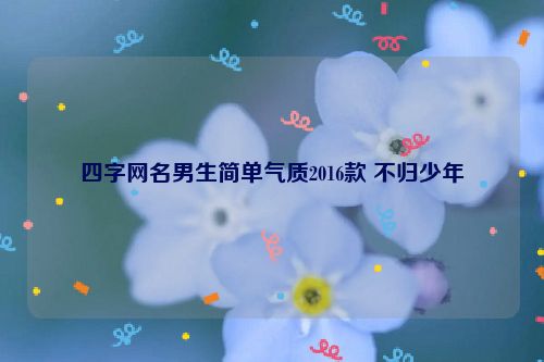 四字网名男生简单气质2016款 不归少年