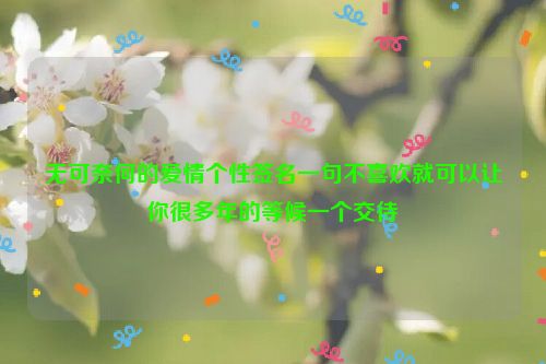 无可奈何的爱情个性签名一句不喜欢就可以让你很多年的等候一个交待