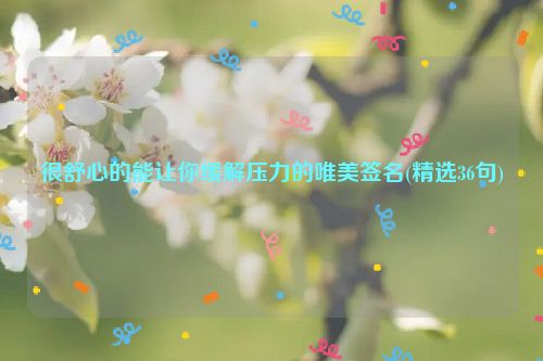 很舒心的能让你缓解压力的唯美签名(精选36句)