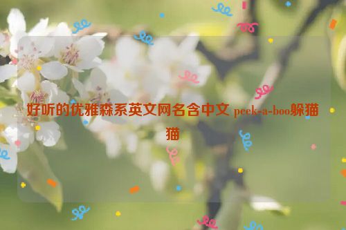 好听的优雅森系英文网名含中文 peek-a-boo躲猫猫