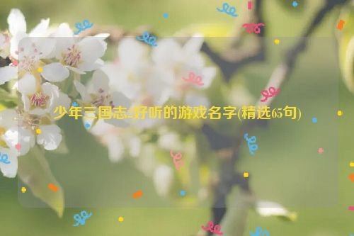 少年三国志2好听的游戏名字(精选65句)