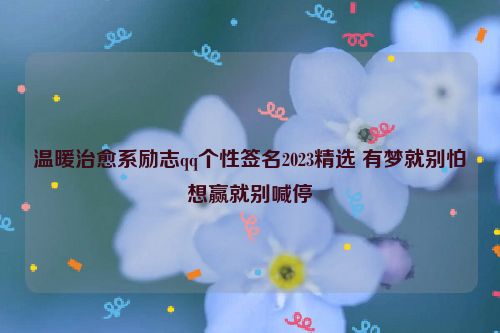 温暖治愈系励志qq个性签名2023精选 有梦就别怕想赢就别喊停