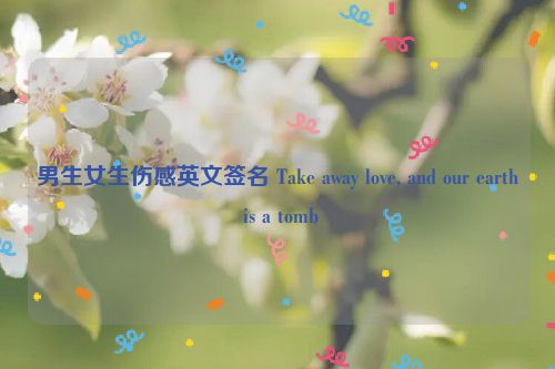 男生女生伤感英文签名 Take away love, and our earth is a tomb