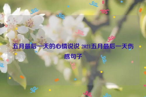 五月最后一天的心情说说 2021五月最后一天伤感句子