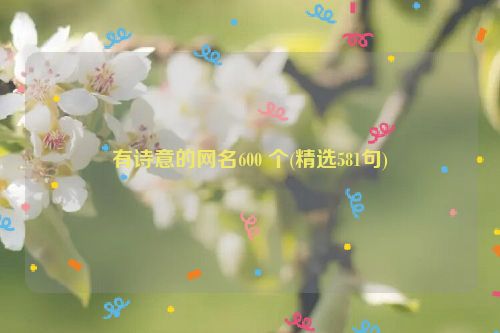 有诗意的网名600 个(精选581句)