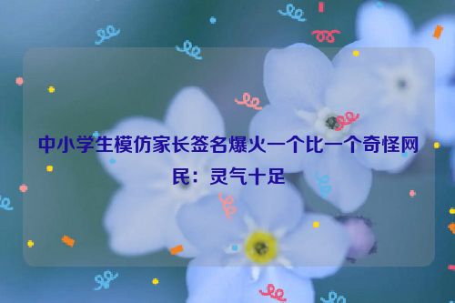 中小学生模仿家长签名爆火一个比一个奇怪网民：灵气十足