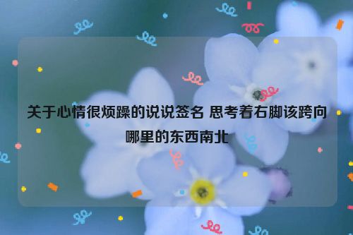 关于心情很烦躁的说说签名 思考着右脚该跨向哪里的东西南北