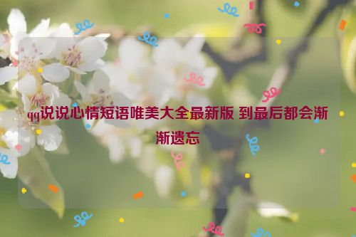 qq说说心情短语唯美大全最新版 到最后都会渐渐遗忘