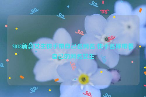 2018新款女生快手带自己名网名 快手名称带着自己的网名女生