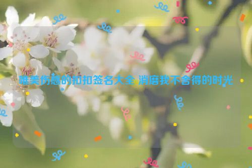 唯美伤感的扣扣签名大全 消磨我不舍得的时光