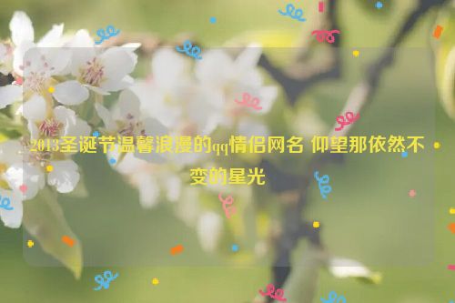 2013圣诞节温馨浪漫的qq情侣网名 仰望那依然不变的星光