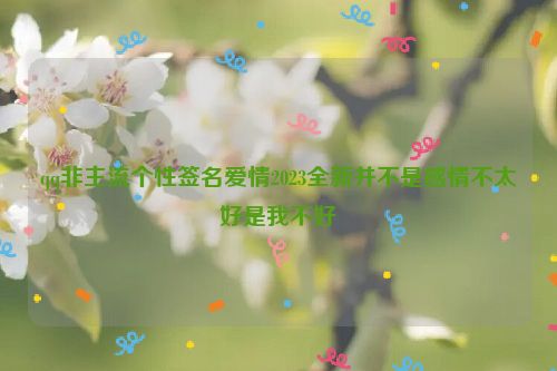 qq非主流个性签名爱情2023全新并不是感情不太好是我不好