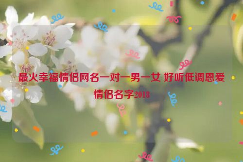 最火幸福情侣网名一对一男一女 好听低调恩爱情侣名字2018