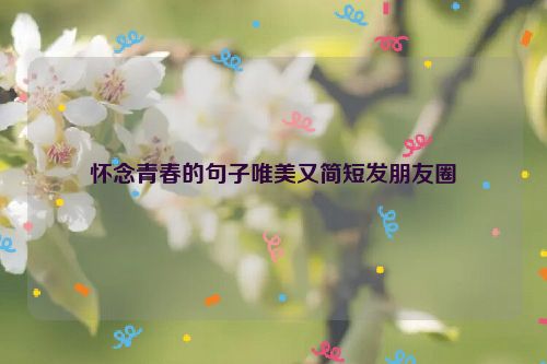 怀念青春的句子唯美又简短发朋友圈