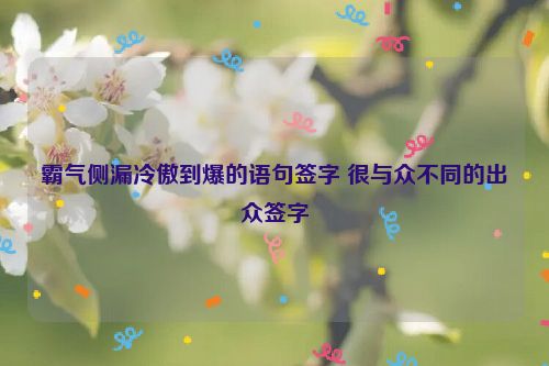 霸气侧漏冷傲到爆的语句签字 很与众不同的出众签字