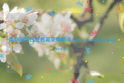 伤心的个性签名英文带翻译 Love is a carefully designed lie