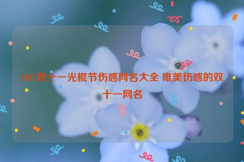 2017双十一光棍节伤感网名大全 唯美伤感的双十一网名