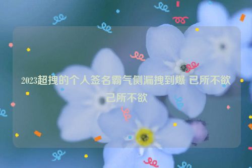 2023超拽的个人签名霸气侧漏拽到爆 已所不欲己所不欲