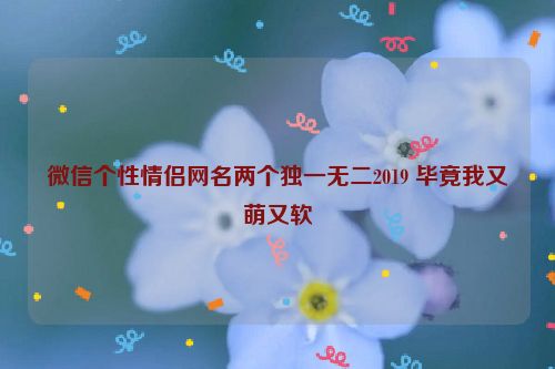 微信个性情侣网名两个独一无二2019 毕竟我又萌又软