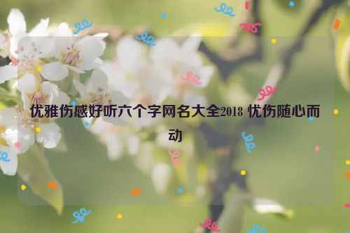 优雅伤感好听六个字网名大全2018 忧伤随心而动