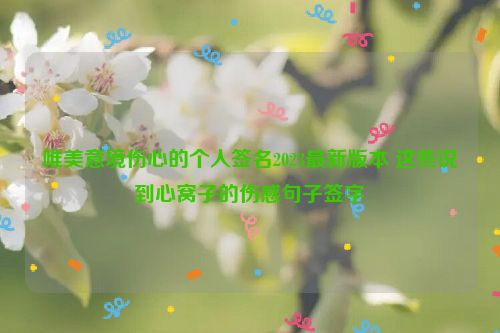 唯美意境伤心的个人签名2023最新版本 这些说到心窝子的伤感句子签字