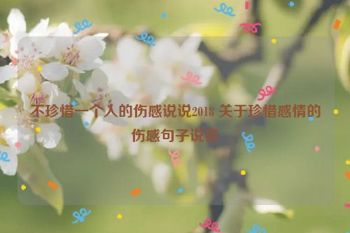 不珍惜一个人的伤感说说2018 关于珍惜感情的伤感句子说说