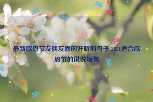 最新感恩节发朋友圈的好听的句子 2021适合感恩节的说说短句