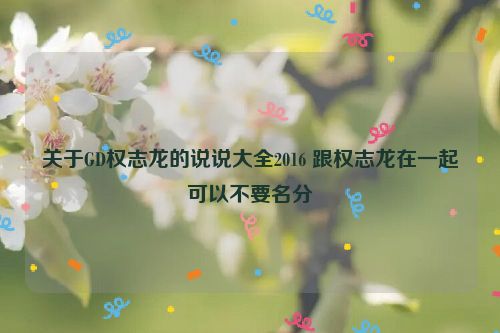 关于GD权志龙的说说大全2016 跟权志龙在一起可以不要名分