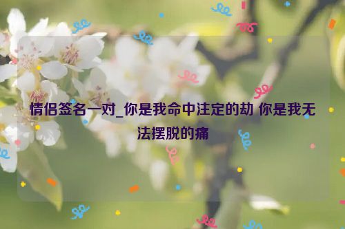 情侣签名一对_你是我命中注定的劫 你是我无法摆脱的痛