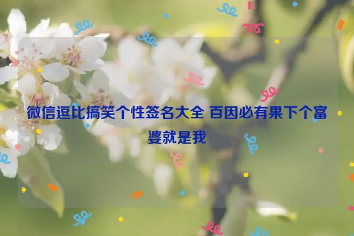 微信逗比搞笑个性签名大全 百因必有果下个富婆就是我