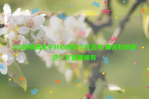 2023很烦很累不开心的的个性签名 痛苦和骄傲这一生都要拥有