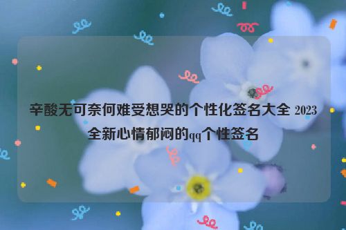 辛酸无可奈何难受想哭的个性化签名大全 2023全新心情郁闷的qq个性签名