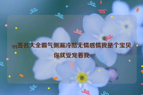 qq签名大全霸气侧漏冷酷无情感情我是个宝贝你就受宠着我