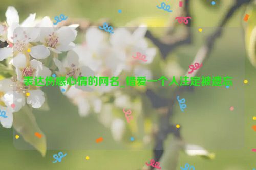 表达伤感心情的网名_错爱一个人注定被遗忘