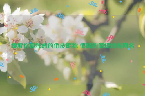 缓解你孤独感的俏皮昵称 很嗨的简短俏皮网名