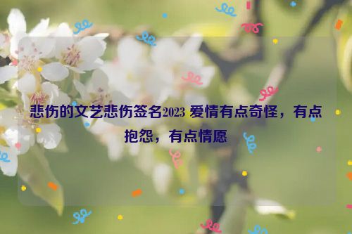 悲伤的文艺悲伤签名2023 爱情有点奇怪，有点抱怨，有点情愿