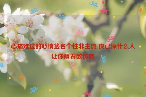 心痛难过的心情签名个性非主流 夜已深什么人让你醒着数伤痕