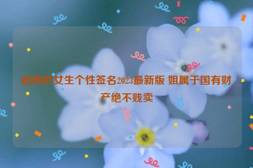 超拽的女生个性签名2023最新版 姐属于国有财产绝不贱卖