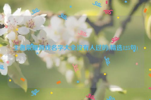 王者荣耀游戏名字大全没有人过的(精选125句)