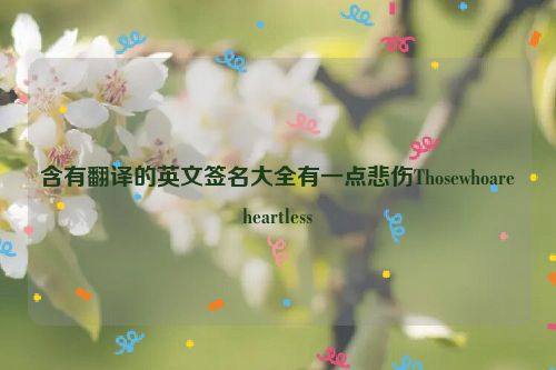 含有翻译的英文签名大全有一点悲伤Thosewhoareheartless