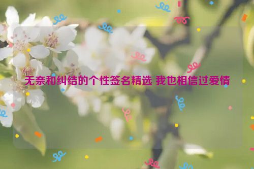 无奈和纠结的个性签名精选 我也相信过爱情