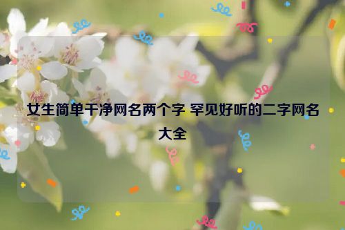 女生简单干净网名两个字 罕见好听的二字网名大全