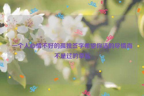 一个人心情不好的孤独签字希望你活的尽情而不是过的幸运