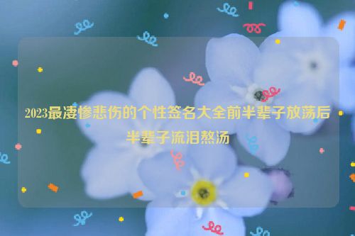 2023最凄惨悲伤的个性签名大全前半辈子放荡后半辈子流泪熬汤